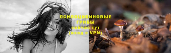 jwh Беломорск