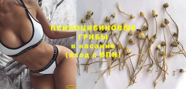 дурь Белокуриха