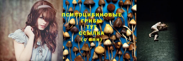 jwh Беломорск