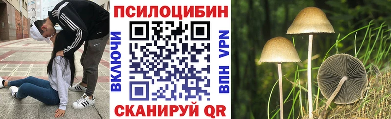 купить  сайты  Светлогорск  Галлюциногенные грибы прущие грибы 